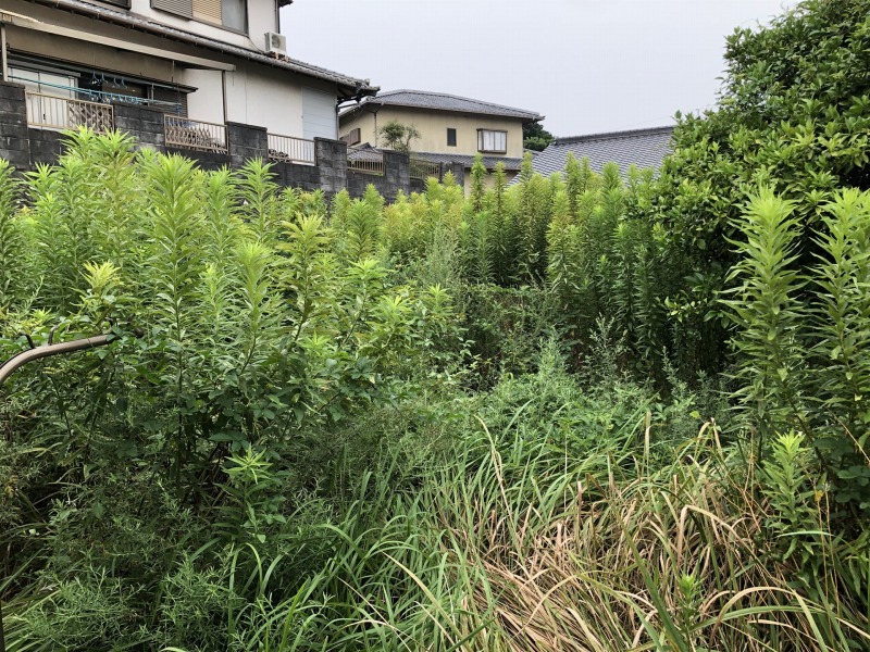 空き地、所有地の草刈り